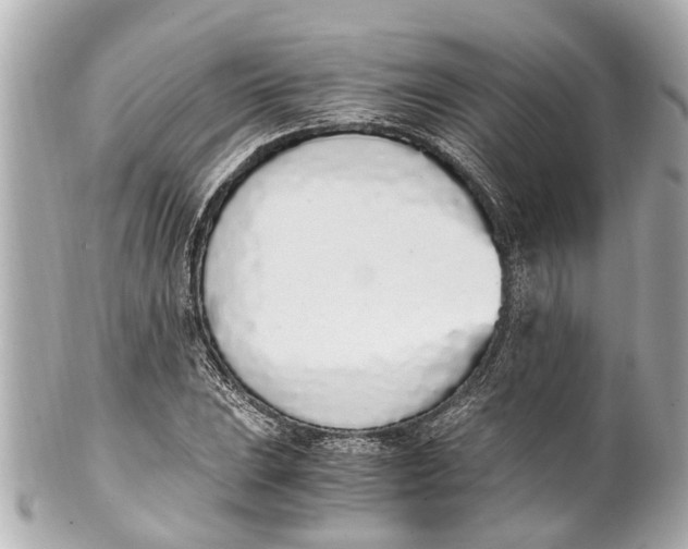 X0000101681023200807311514