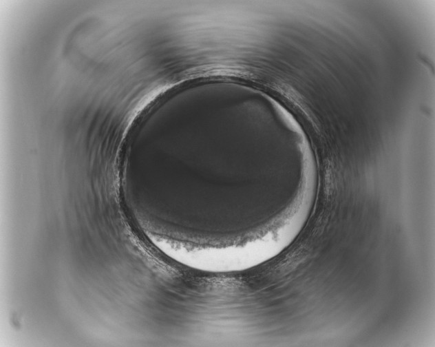 X0000101681024200807311514