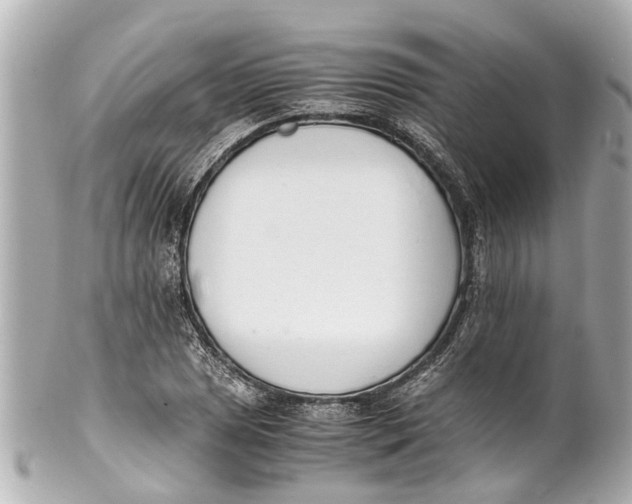 X0000101681025200807311514