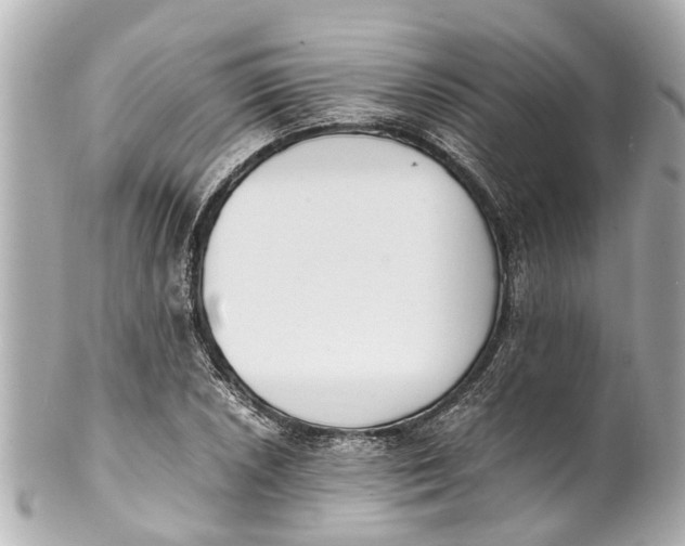 X0000101681026200807311514