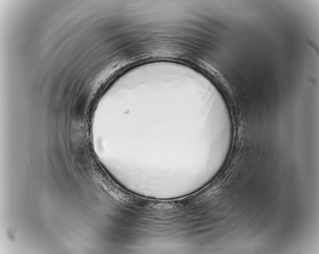 X0000101681027200807311514