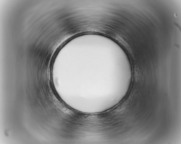 X0000101681028200807311514