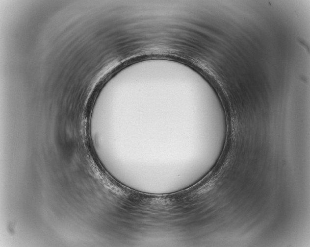 X0000101681029200807311514