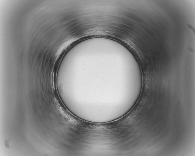 X0000101681030200807311514