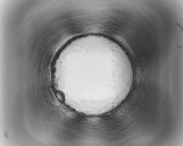 X0000101681031200807311514