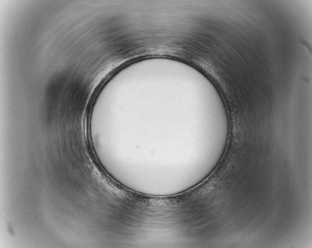 X0000101681032200807311514