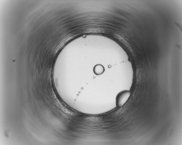 X0000101681033200807311514