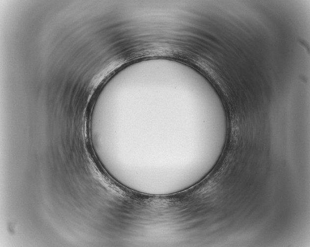 X0000101681034200807311514