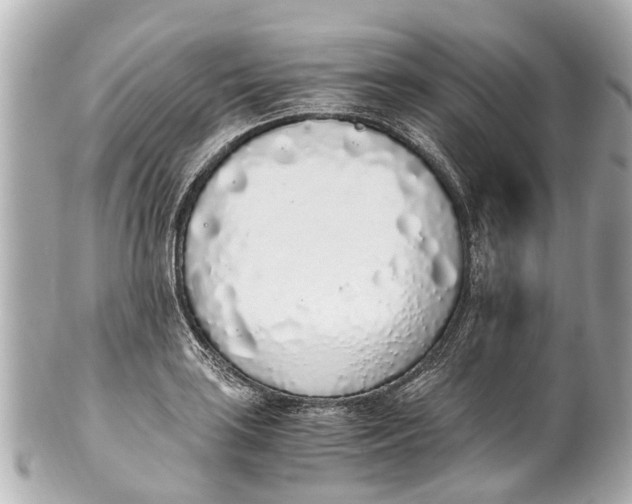 X0000101681035200807311514