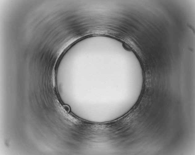 X0000101681036200807311514