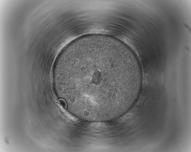 X0000101681037200807311514