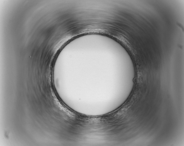 X0000101681038200807311514