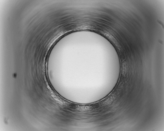 X0000101681039200807311514