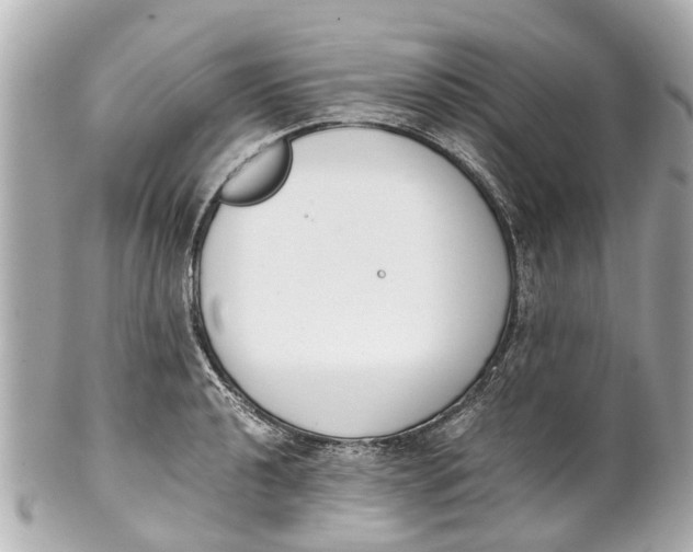 X0000101681040200807311514