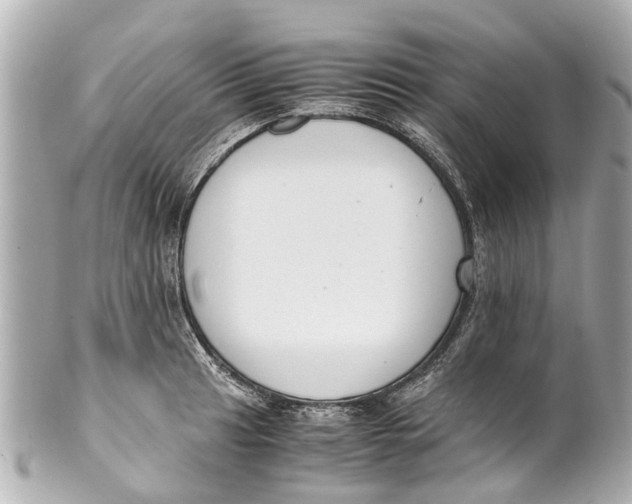 X0000101681041200807311514