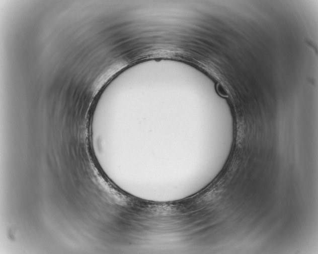 X0000101681042200807311514