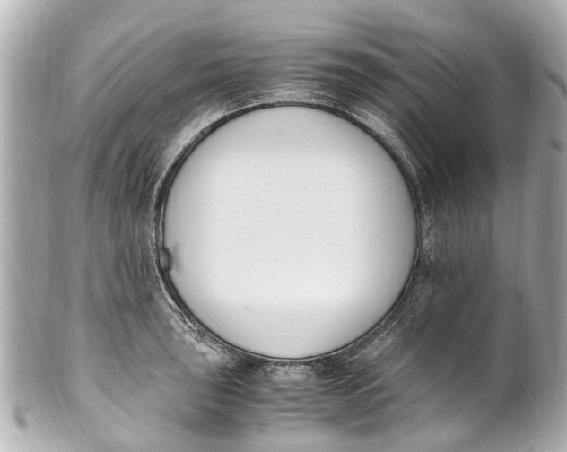 X0000101681043200807311514