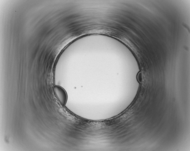 X0000101681044200807311515