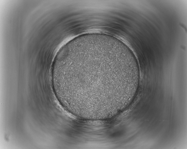 X0000101681045200807311515