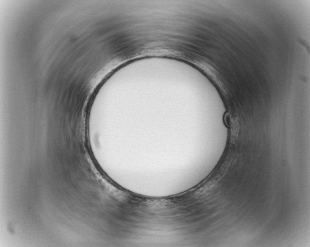 X0000101681046200807311515