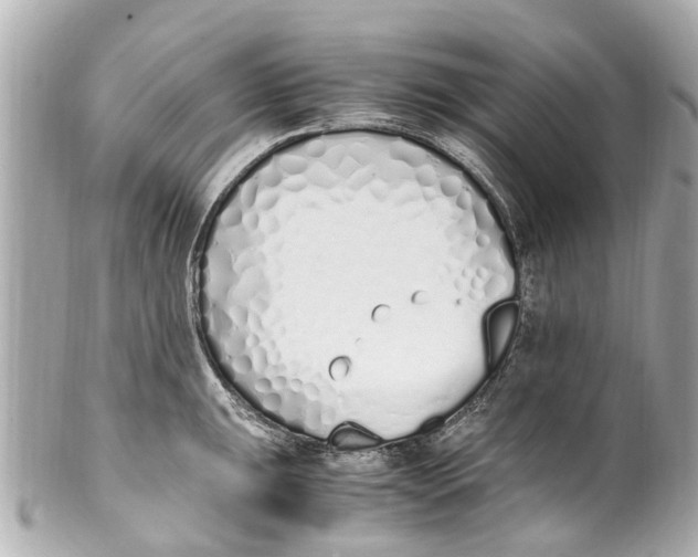 X0000101681047200807311515