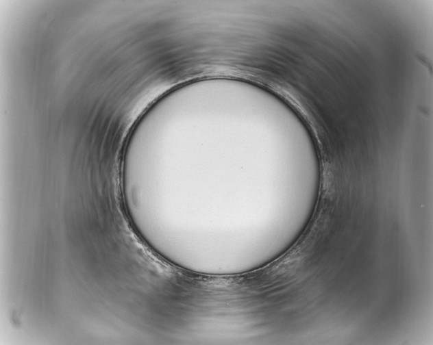 X0000101681048200807311515