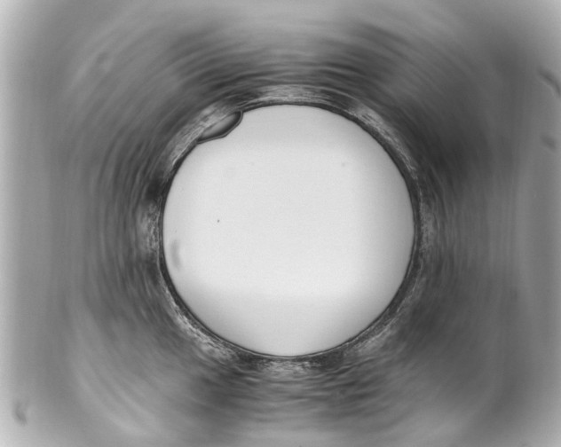 X0000101681049200807311515