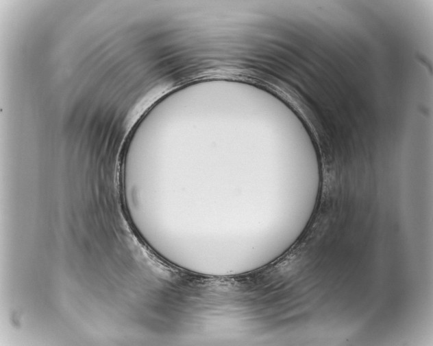 X0000101681050200807311515