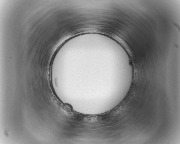 X0000101681051200807311515