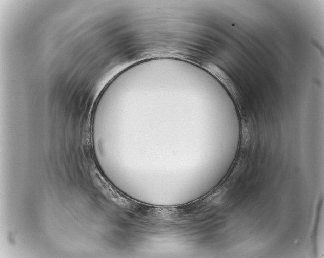 X0000101681052200807311515