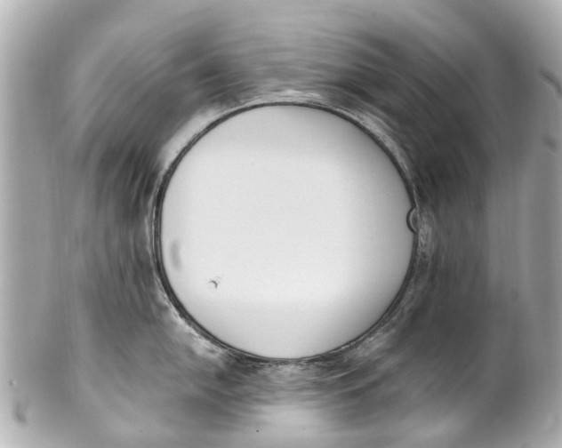 X0000101681054200807311515