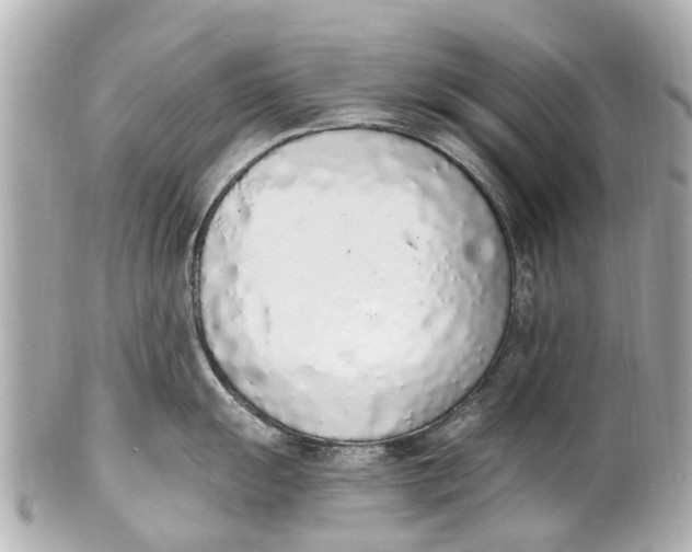 X0000101681055200807311515