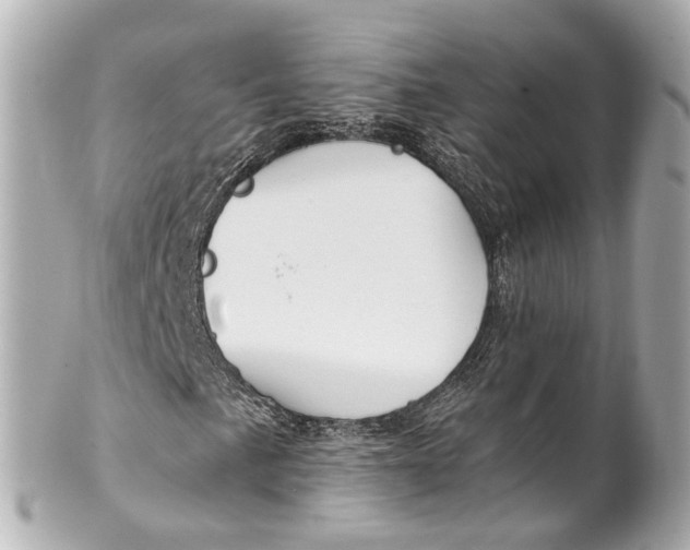 X0000101681057200807311514