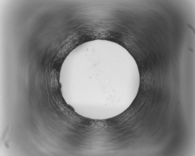 X0000101681058200807311514