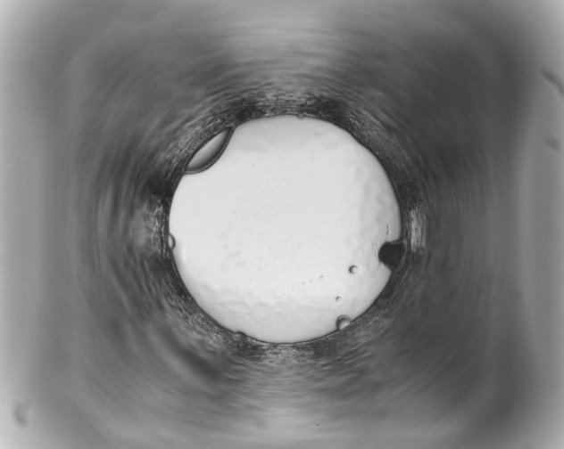 X0000101681059200807311514