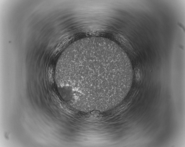 X0000101681060200807311514