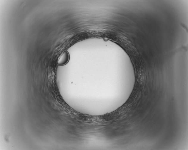 X0000101681061200807311514