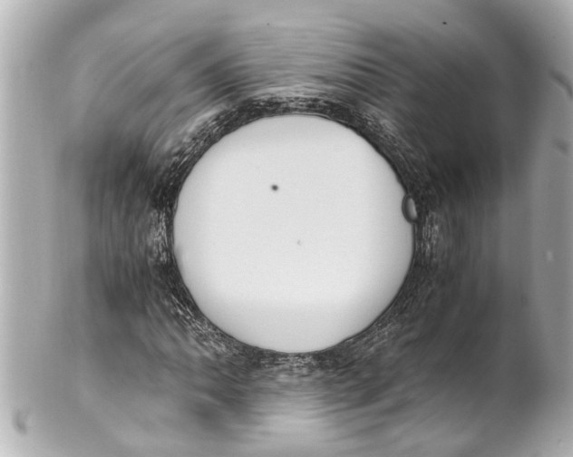 X0000101681062200807311514