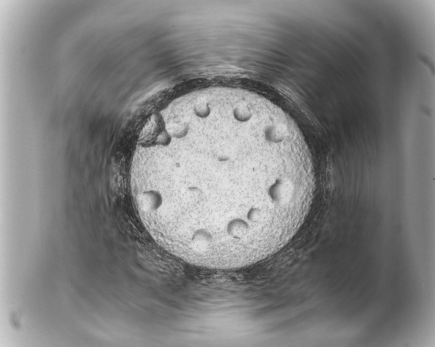 X0000101681063200807311514