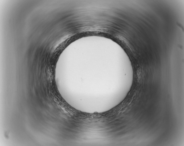 X0000101681064200807311514