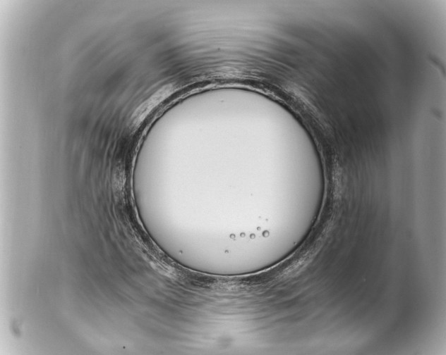 X0000101681065200807311514