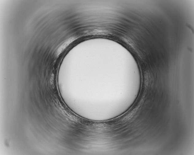 X0000101681066200807311514