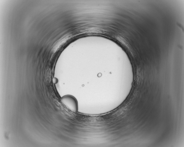 X0000101681067200807311514