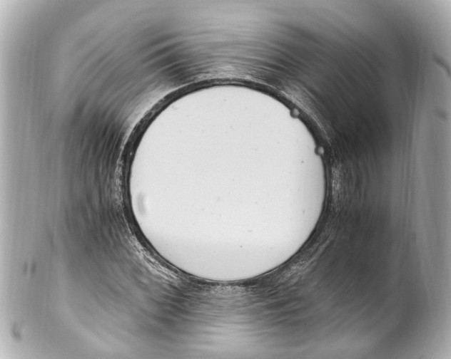 X0000101681068200807311514