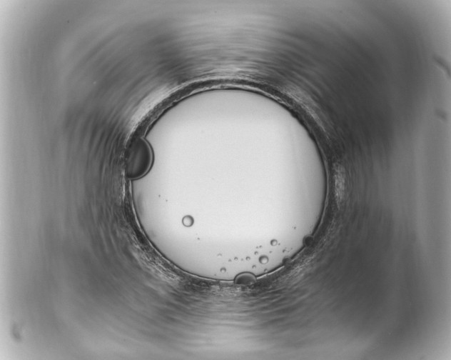 X0000101681069200807311514