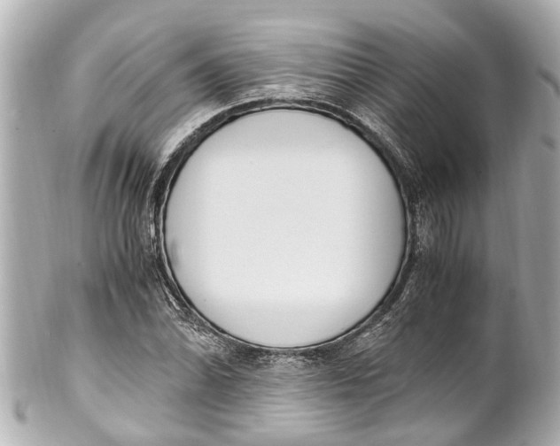 X0000101681070200807311514