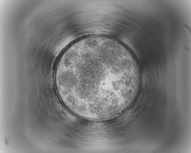 X0000101681071200807311514