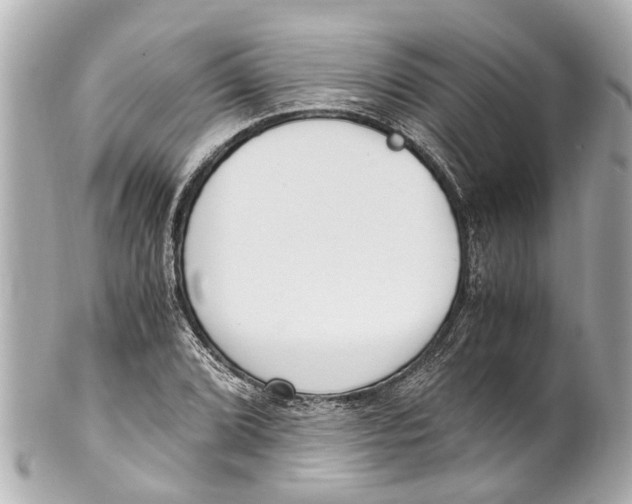 X0000101681072200807311514