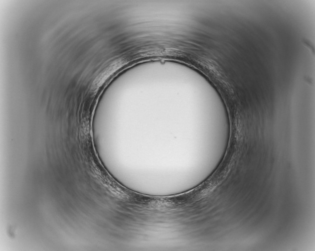 X0000101681073200807311514