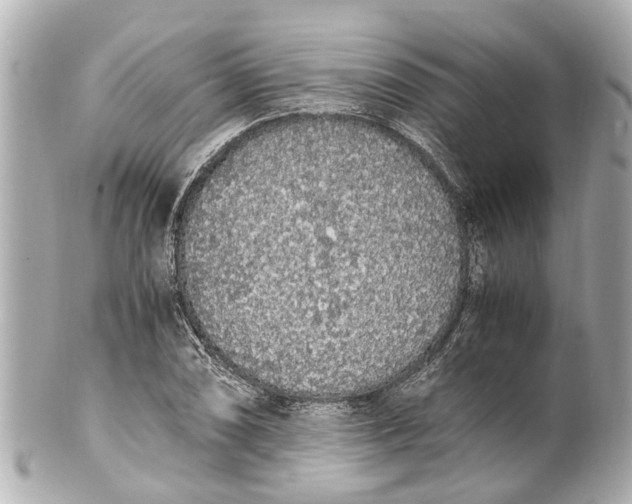 X0000101681074200807311514